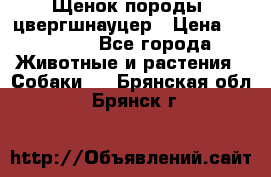 Щенок породы  цвергшнауцер › Цена ­ 30 000 - Все города Животные и растения » Собаки   . Брянская обл.,Брянск г.